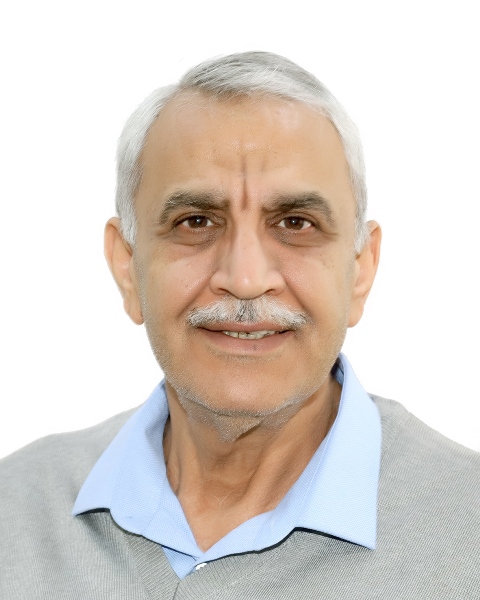 محمد مهدي السلمان